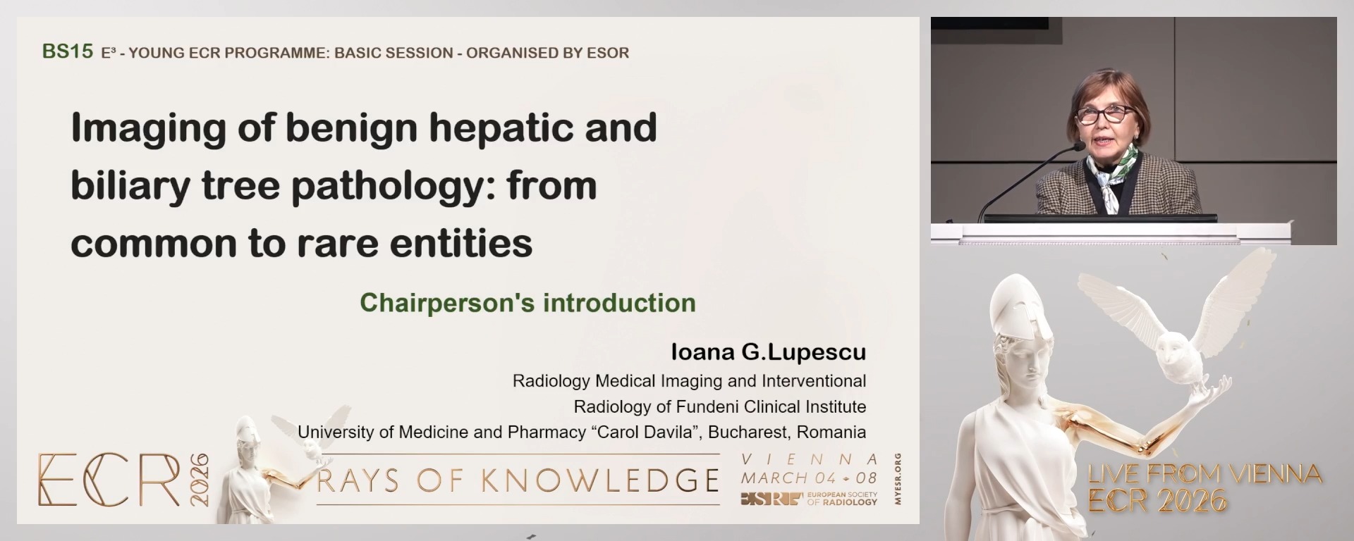 Chairperson's introduction