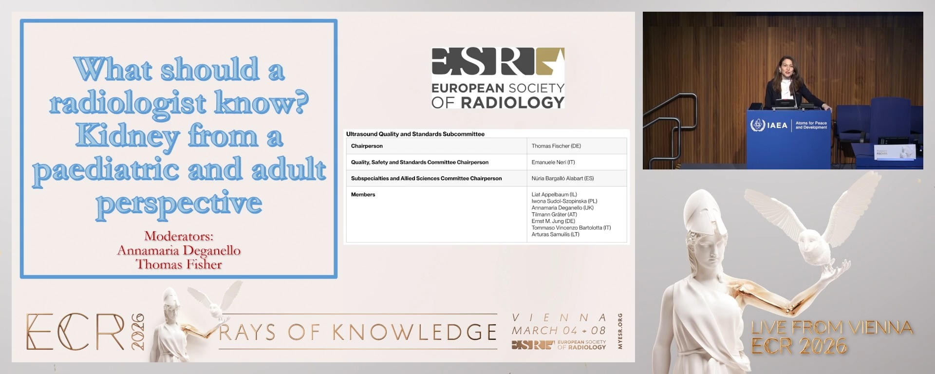 Chairpersons' introduction