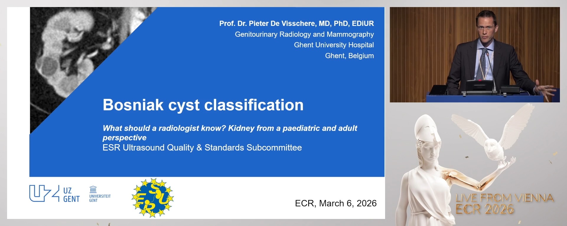 Bosniak cyst classification