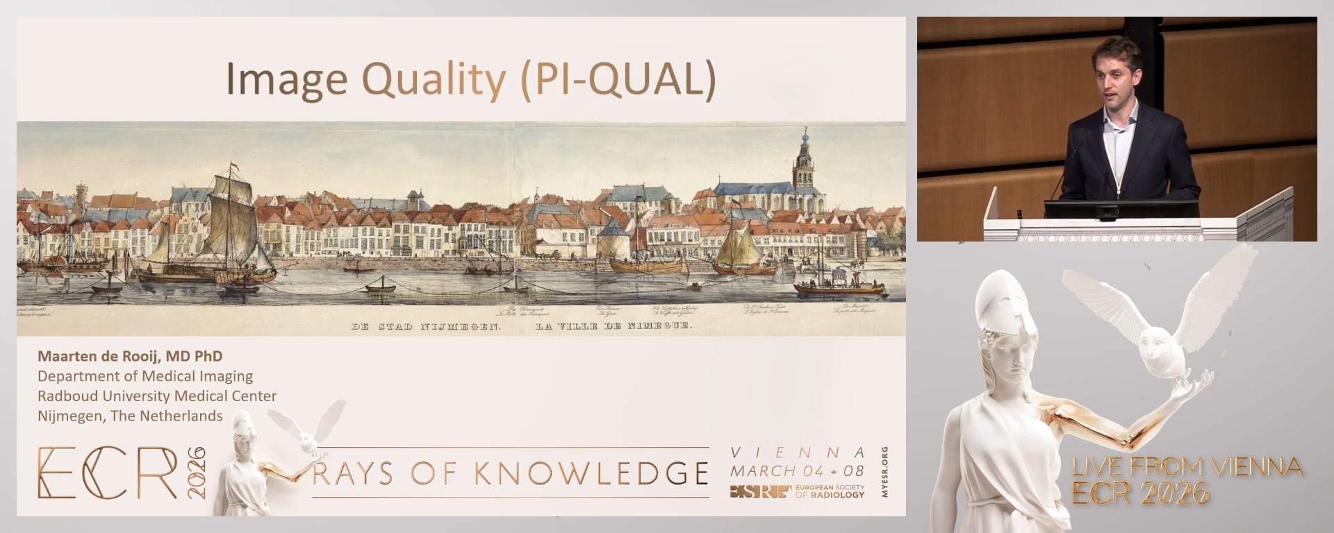 Image quality (PI-QUAL)