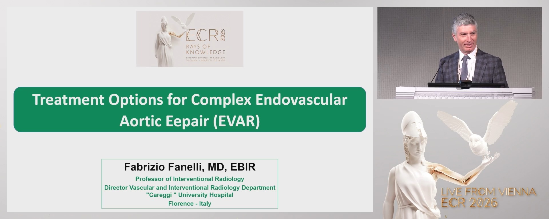 Treatment options for complex endovascular aortic repair (EVAR)