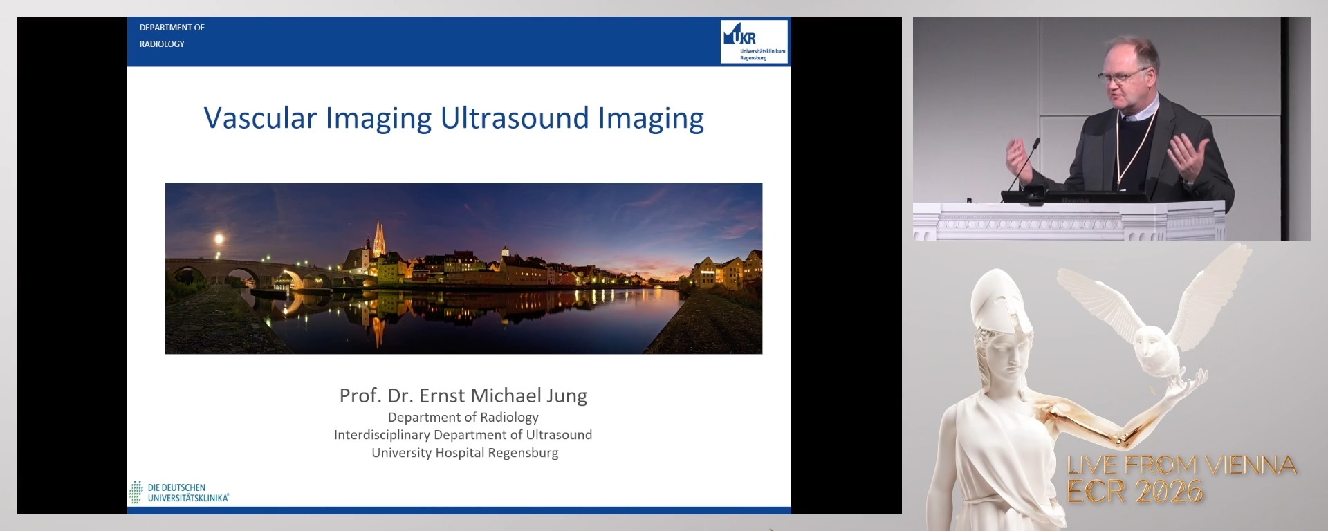 Carotid artery assessment