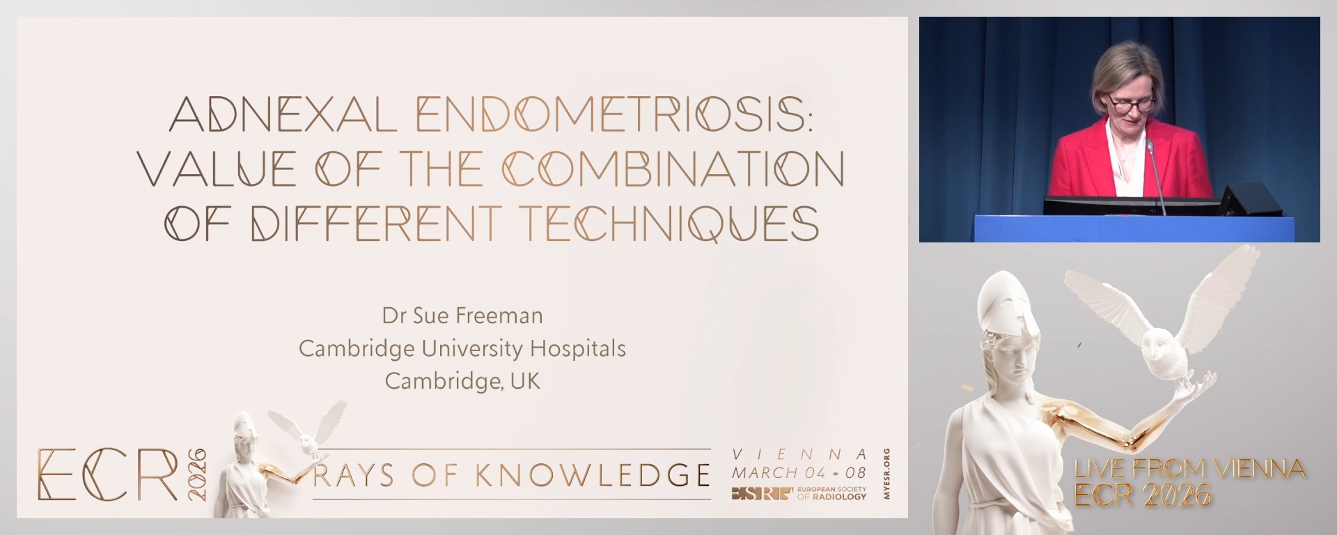 Adnexal endometriosis: value of the combination of different techniques