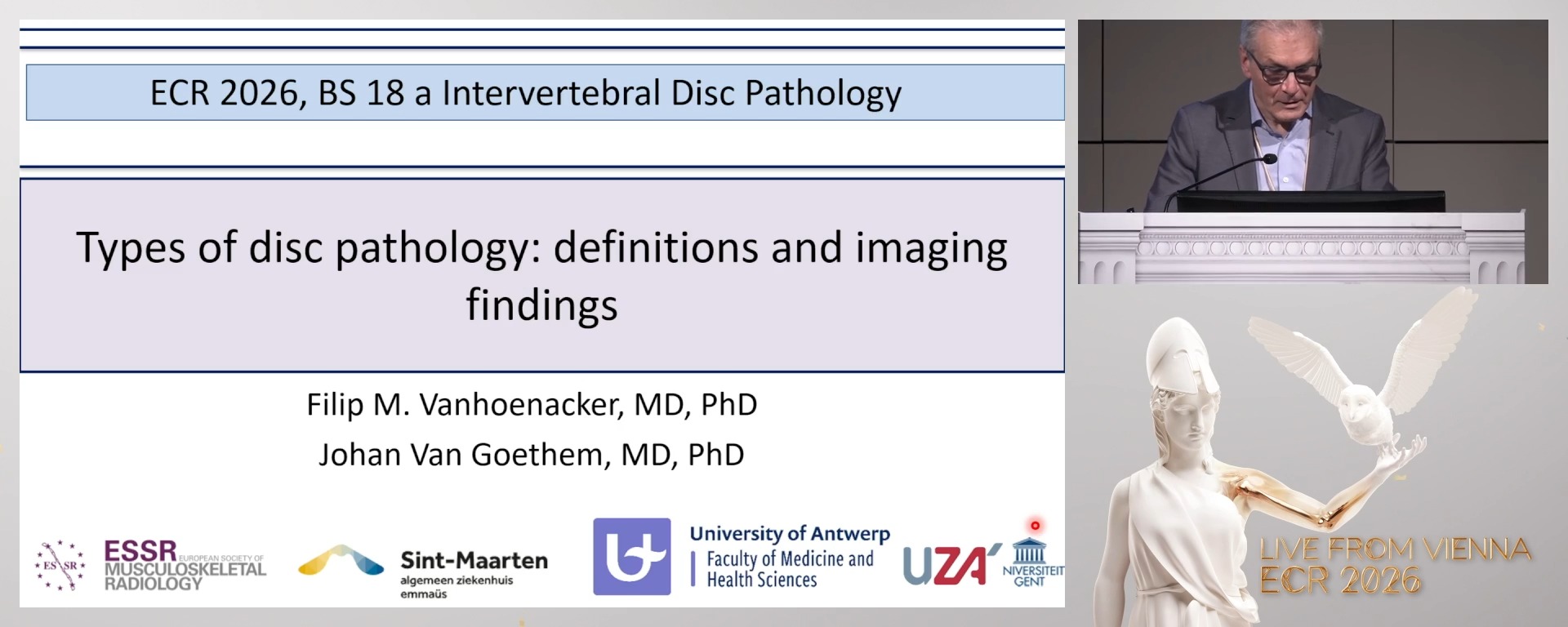 Types of disc pathology: definitions and imaging features