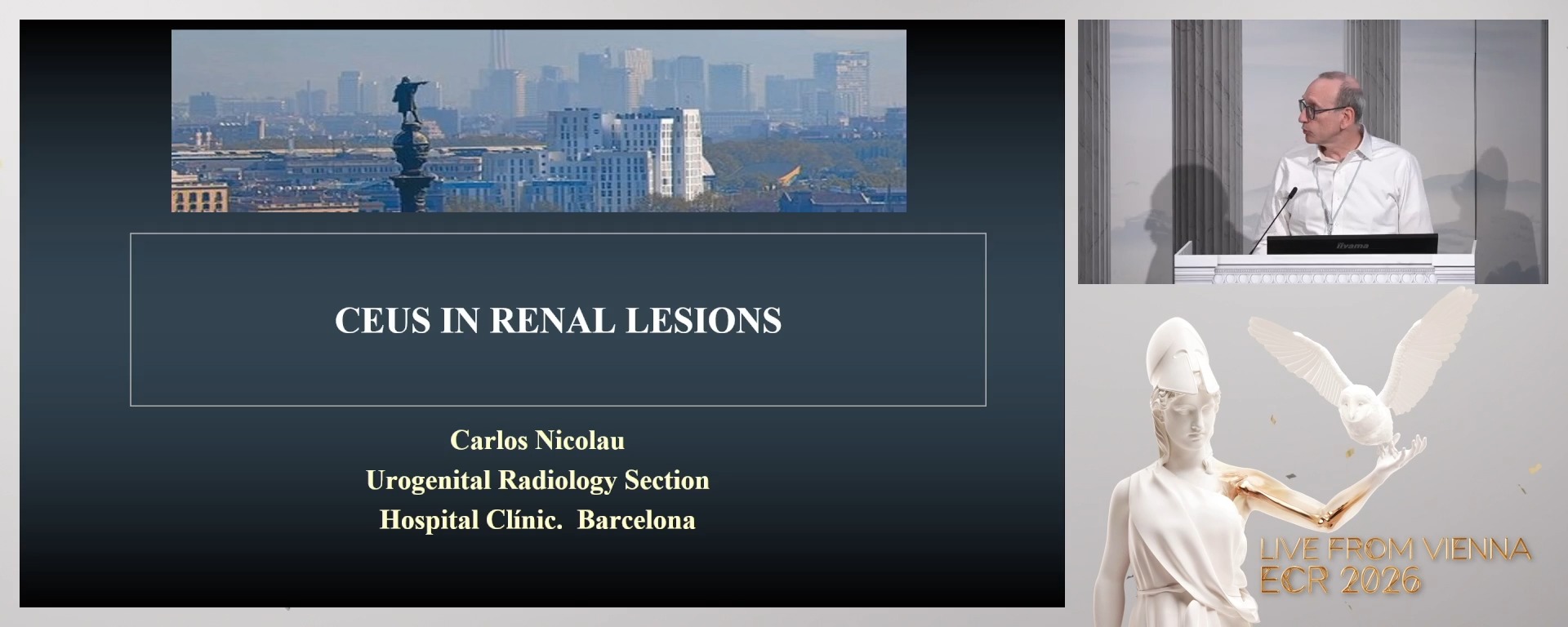 CEUS in renal lesions