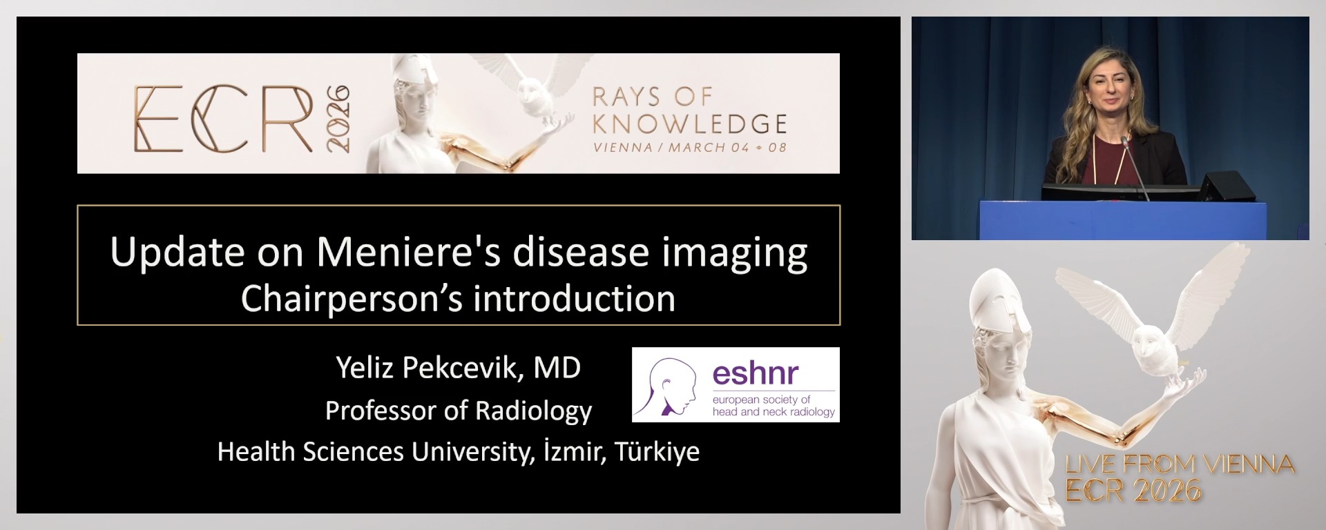 Chairperson's introduction