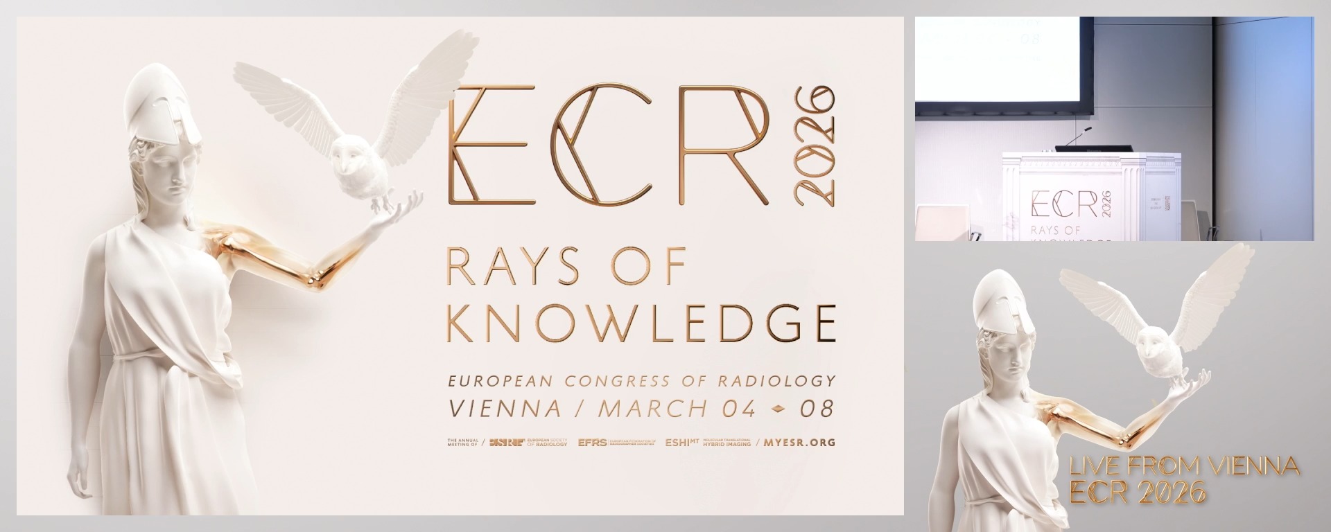 Chairpersons' introduction