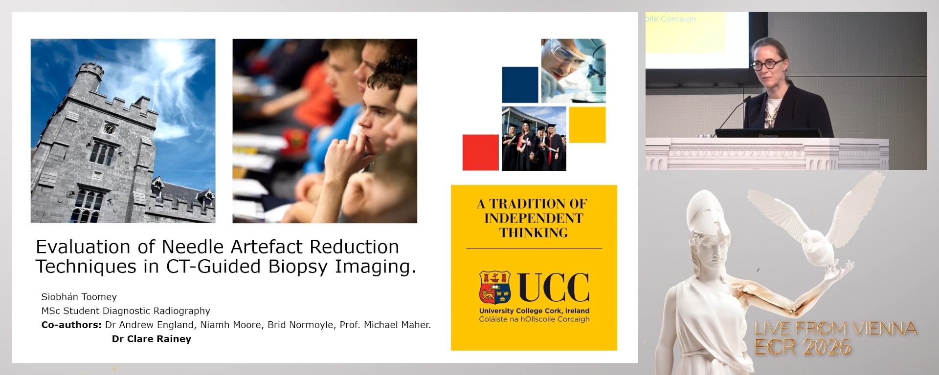 Evaluation of Needle Artefact Reduction Techniques in CT-Guided Biopsy Imaging