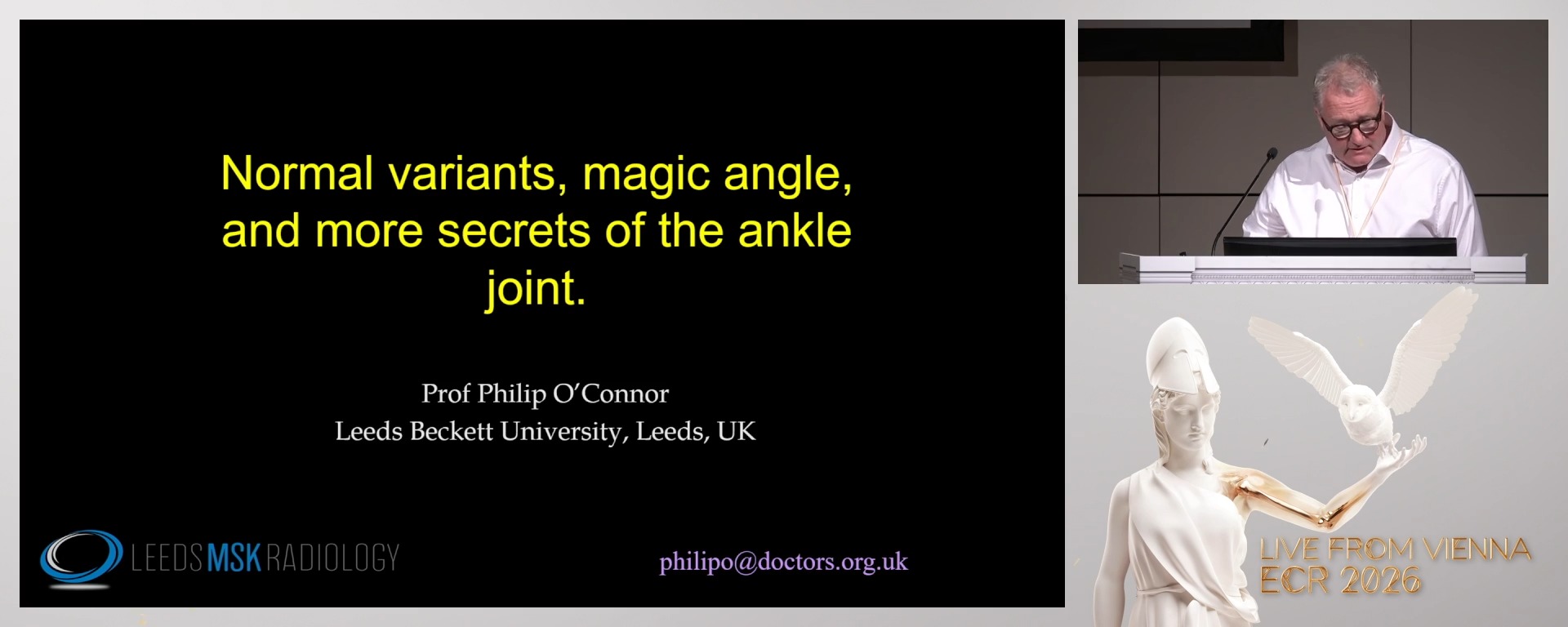 Ankle joint